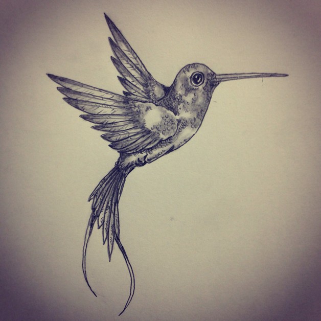 Hummingbird Drawing Tattoo at GetDrawings | Free download