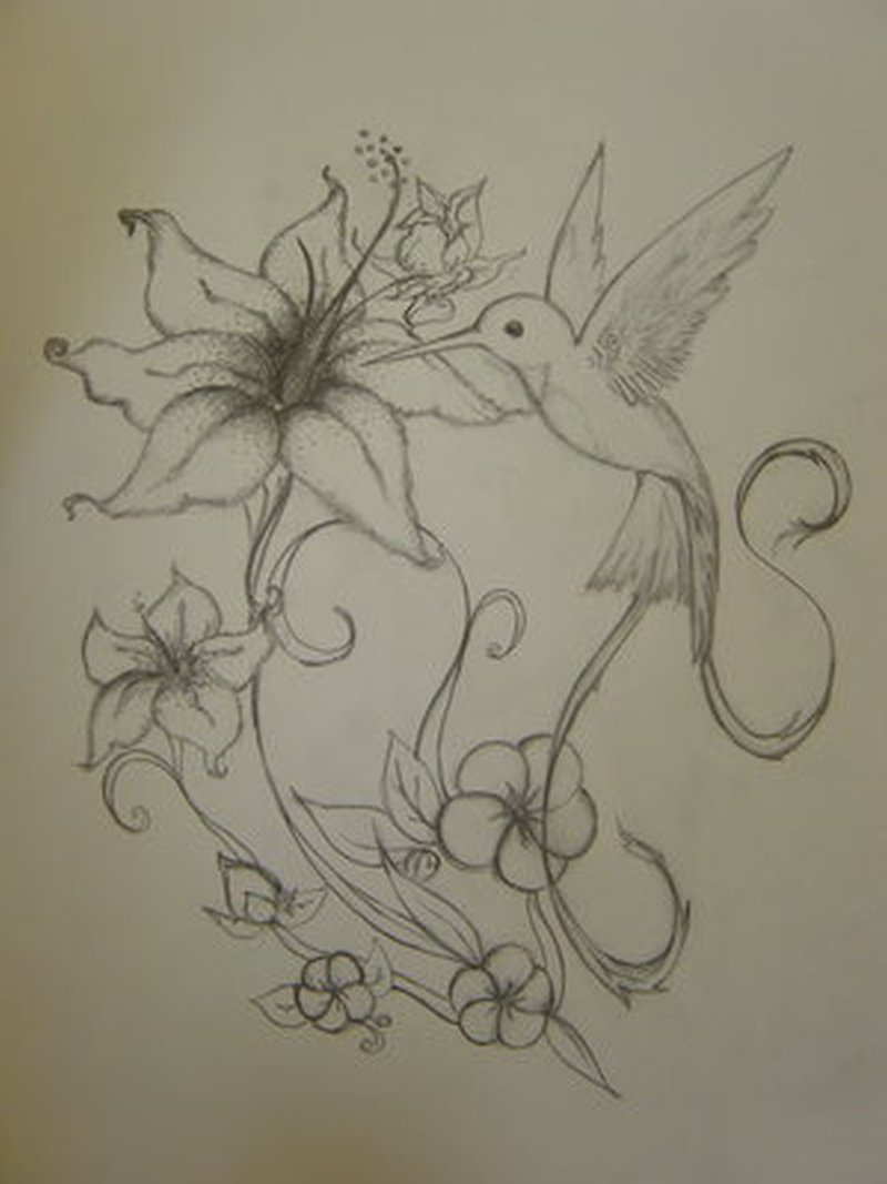 800x1067 Hummingbird N Flower Tattoo Drawing