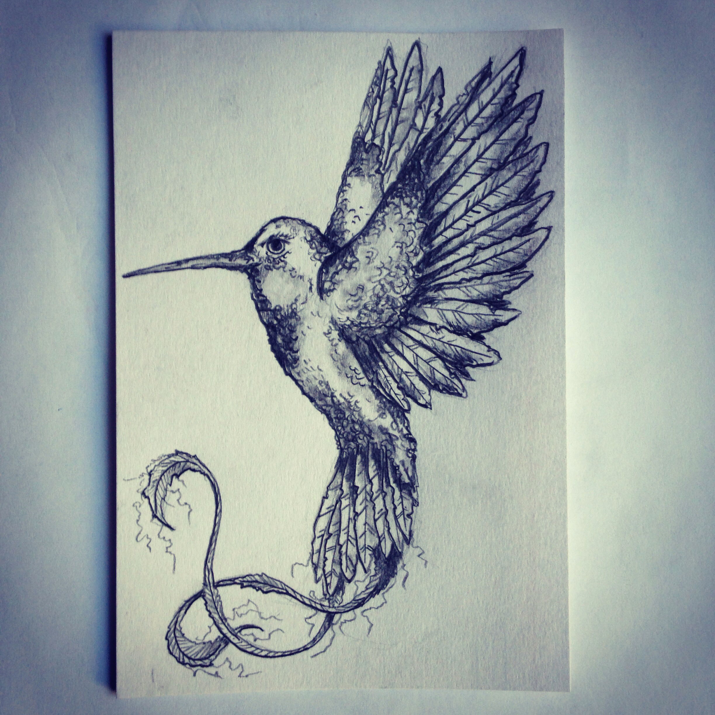 2448x2448 Hummingbird Tattoo Sketch Drawing Tattoo Ideas By