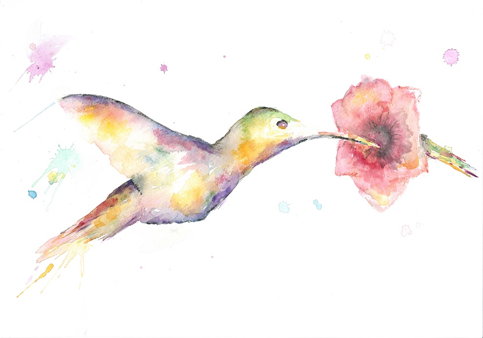 990x694 Hummingbird And Flower Fern Art