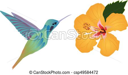 450x264 Vector Hummingbird Flower Vectors Illustration