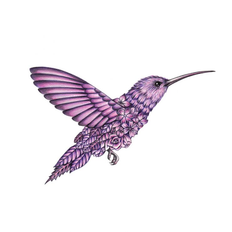 Hummingbird Pencil Drawing at GetDrawings | Free download