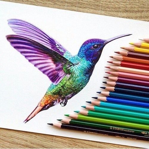 500x500 Drawing Birds Colors Tumblr