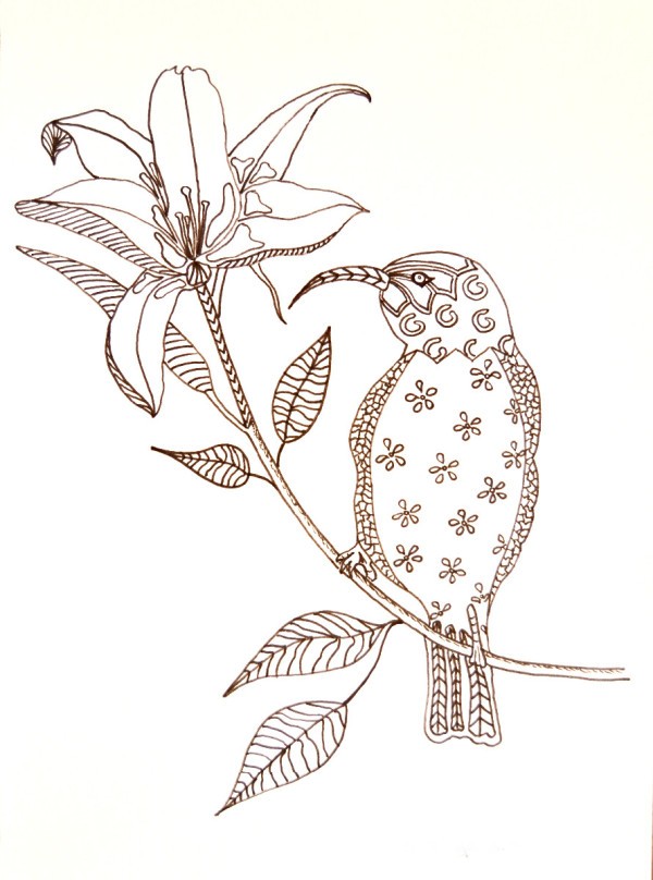 600x808 Hummingbird On Flower Adult Coloring Page Thriftyfun