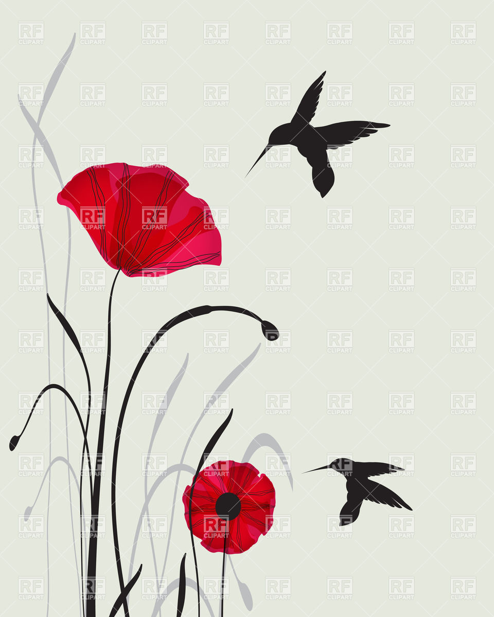 960x1200 Two Hummingbird Silhouettes And Red Hand Drawn Poppies Royalty
