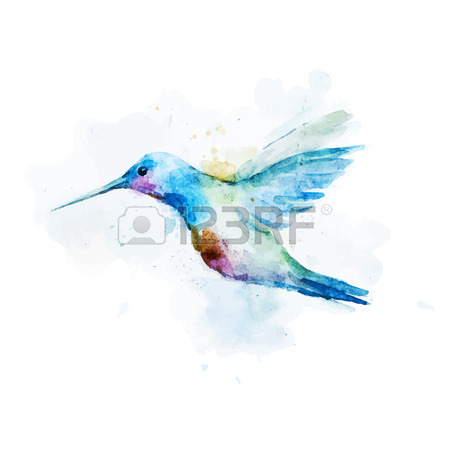 450x450 4,898 Hummingbird Stock Illustrations, Cliparts And Royalty Free