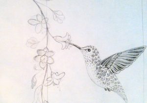 300x210 Drawings Of Hummingbirds And Flowers Drawn Hummingbird Flower Love