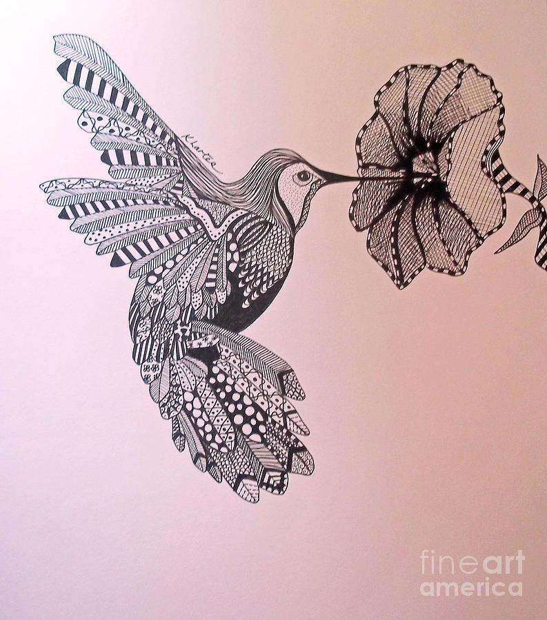 793x900 Hummingbird Jenifer Pink Hues Drawing By Karen Larter