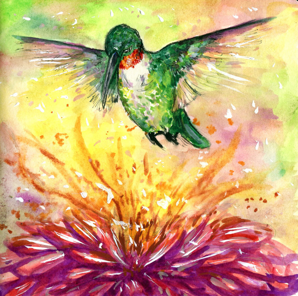 1000x995 Hummingbirds Drawing 10,000 Birds