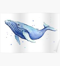 210x230 Humpback Whale Drawing Posters Redbubble