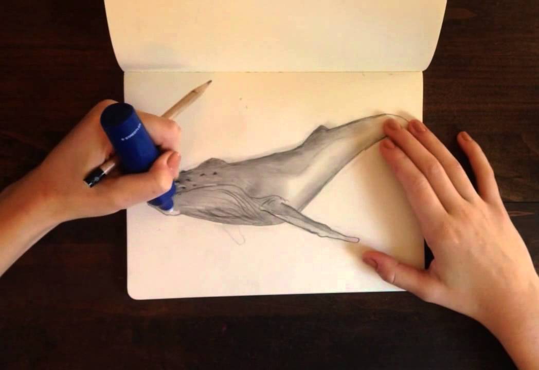 1048x720 Time Lapse Drawing
