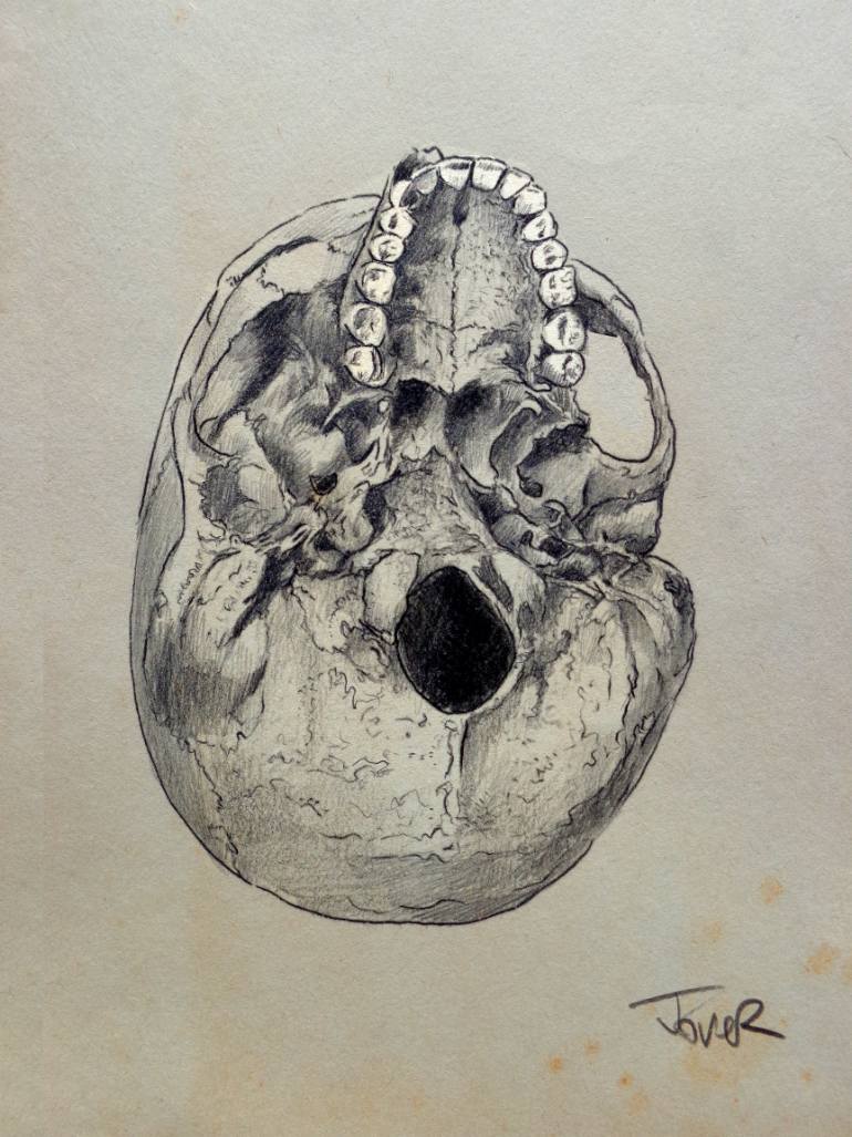 770x1027 Saatchi Art Cranium (Study Of The Underside Of The Human Skull