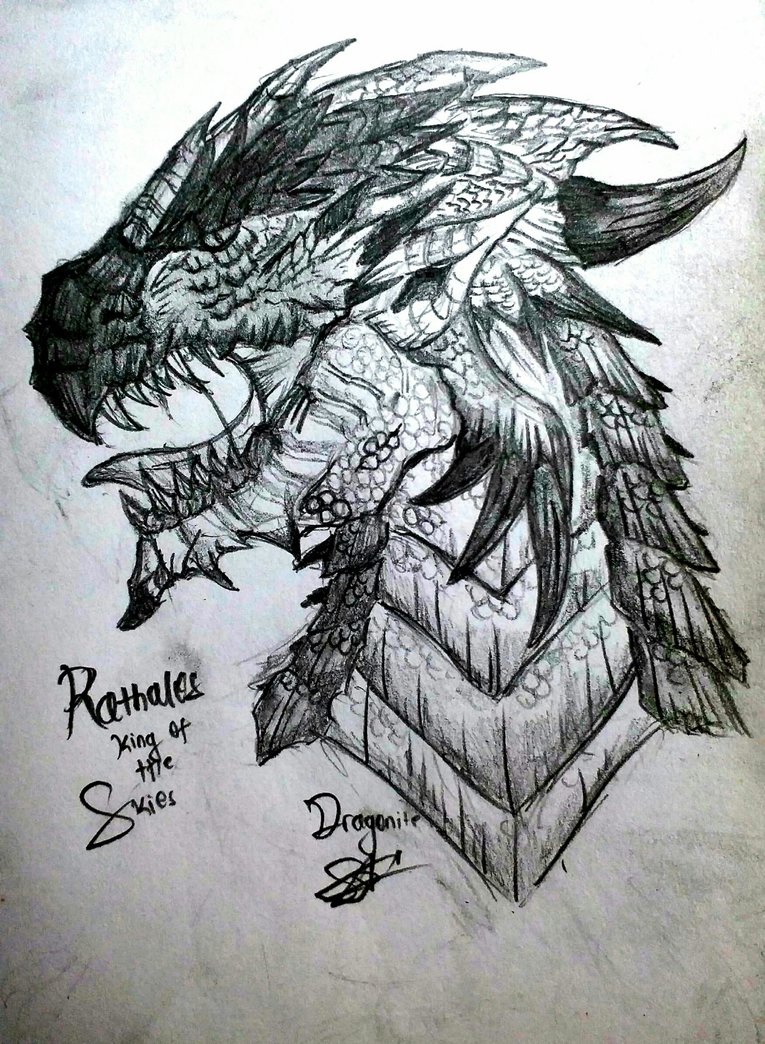 765x1044 Rathalos Pencil Drawing (Monster Hunter) By Xdragonitex