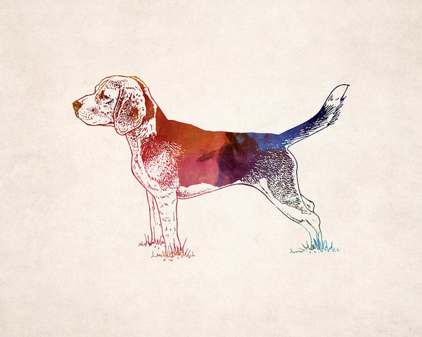 600x480 Hunting Dog Drawing Poster By World Art Prints And Designs