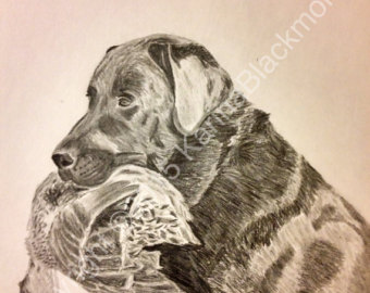340x270 Hunting Dog Drawing Etsy