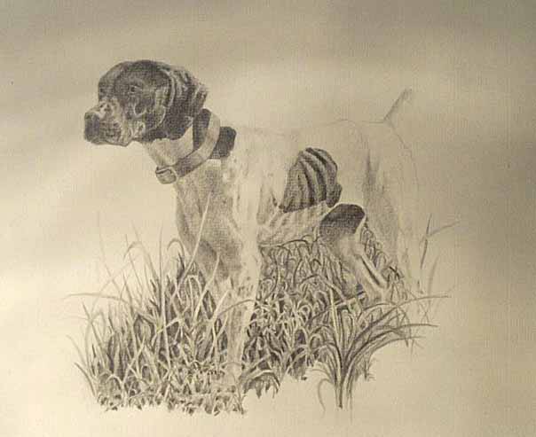 604x493 Step 2, Update On The Drawing . Brags Gun Dog Forum 2013