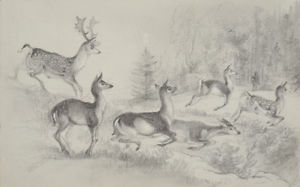 300x187 Otto Arnz (1823 Aft. 1860) Hunting Scene, Drawing, Ca. 1850 Ebay