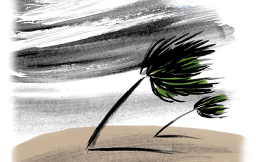 505x320 Guide To Riding Out The Storm With A Hurricane Party