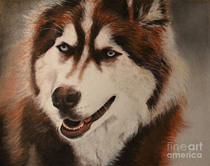 300x237 Huskie Art