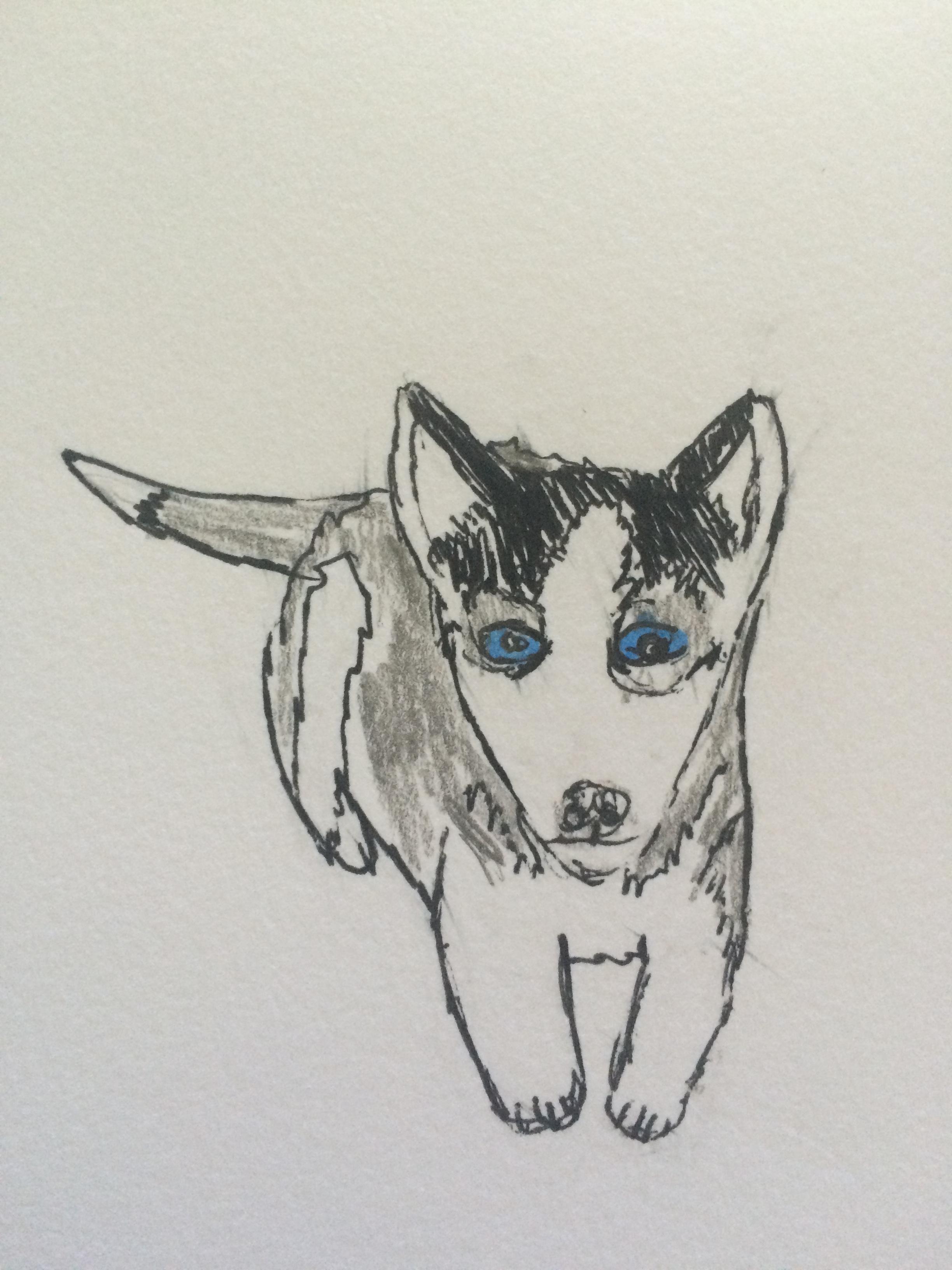 2448x3264 March 17th