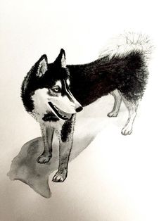 236x314 Siberian Husky Puppy Large Tote Bag