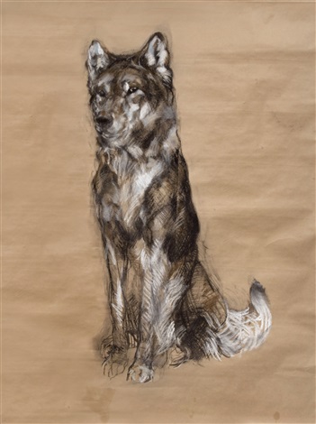 351x470 Untitled Huskie By Nicola Hicks On Artnet