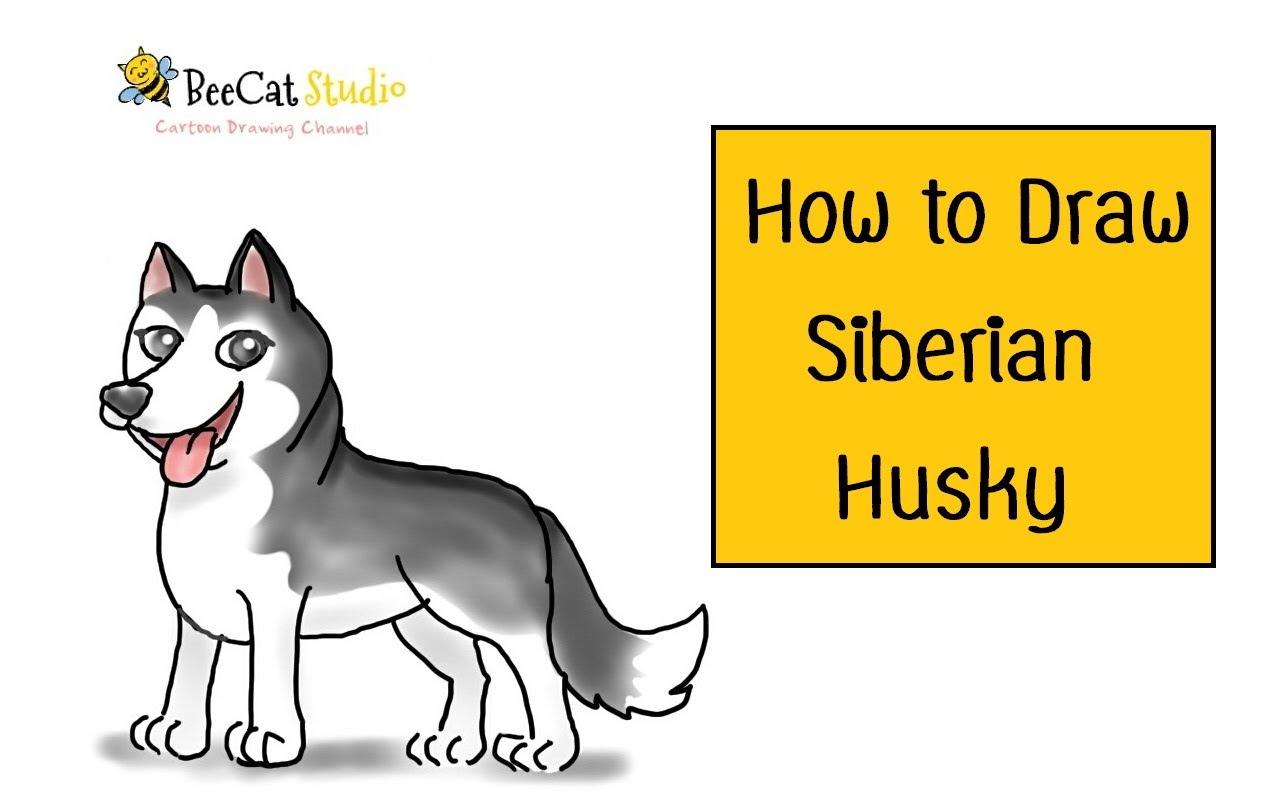 1280x800 How To Draw A Cartoon Siberian Husky