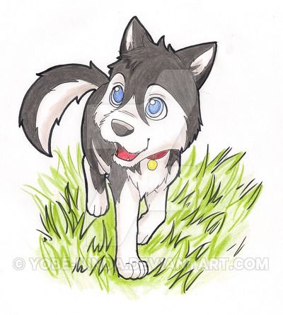 400x444 Cartoon Drawings Of Huskies