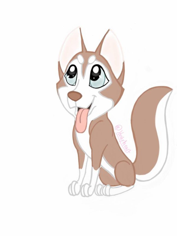600x800 Cute Husky Pup Cartoon By Huskyheart