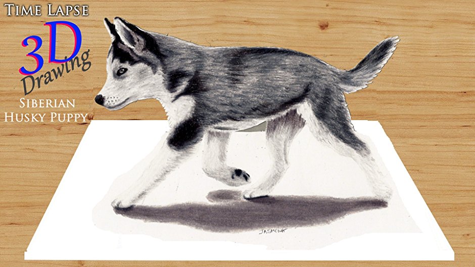 940x529 Clip Time Lapse 3d Drawing Siberian Husky Puppy