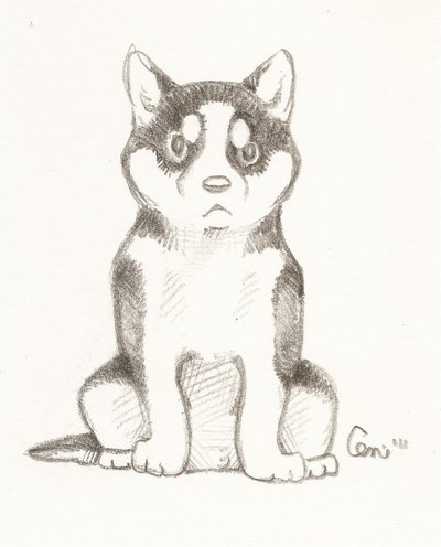 400x496 Husky Puppy By Vanillaxhermit