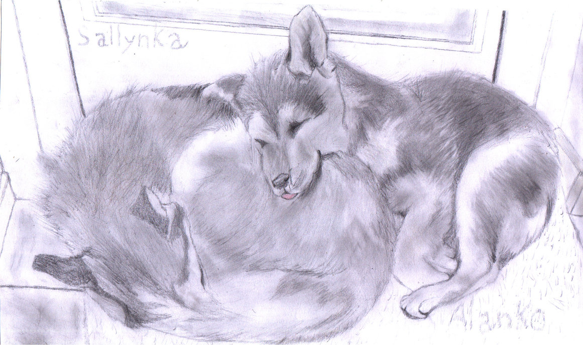 1161x688 Husky And Her Puppy Drawing 5 By Outcasttherianthrope