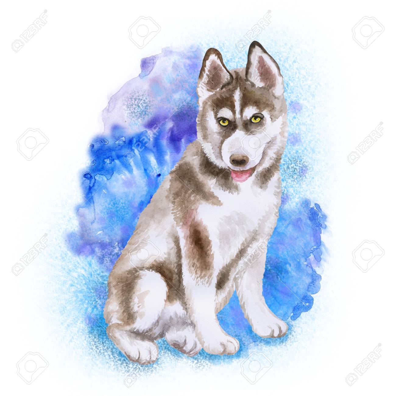 1300x1300 Watercolor Closeup Portrait Of Husky Puppy Isolated On Blue