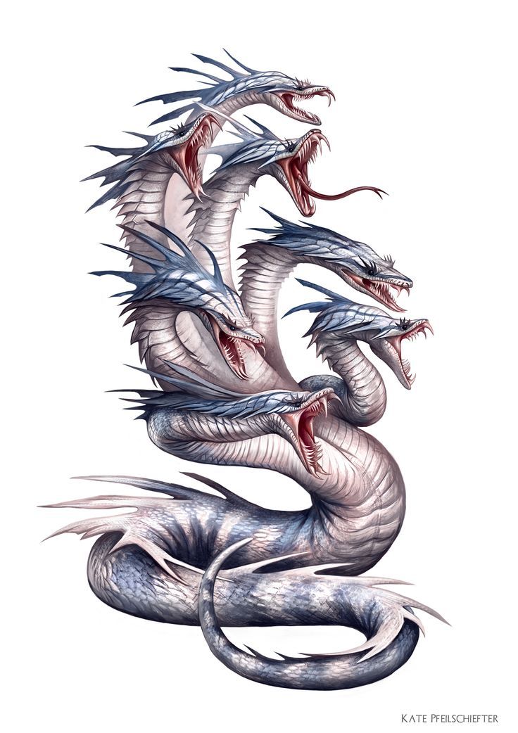 Hydra Dragon Drawing at GetDrawings Free download