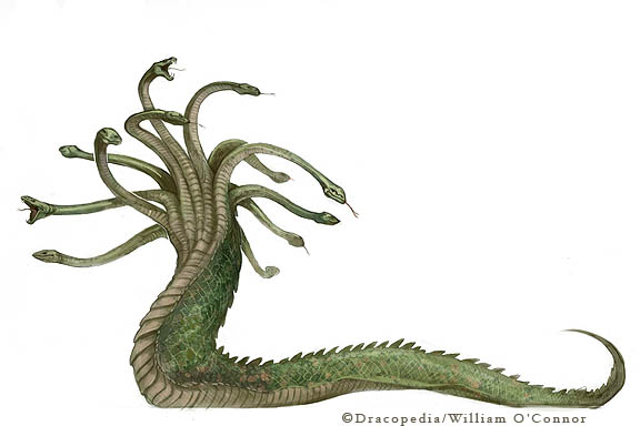 576x384 The Dracopedia Project Dragon Of The Month Lernaen Hydra