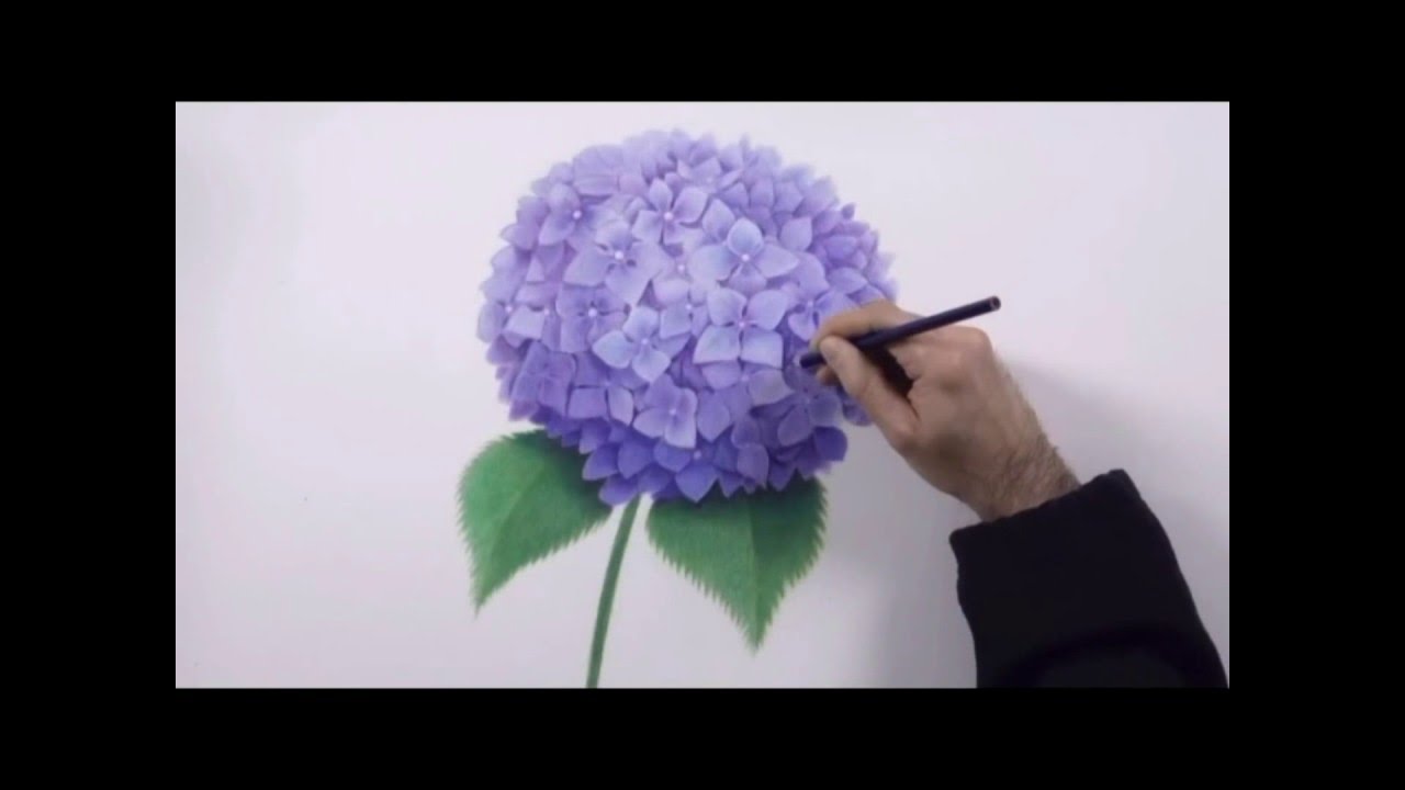 1280x720 How To Draw Hydrangea,drawing Art,tutorial,3d,lesson,tip,painting