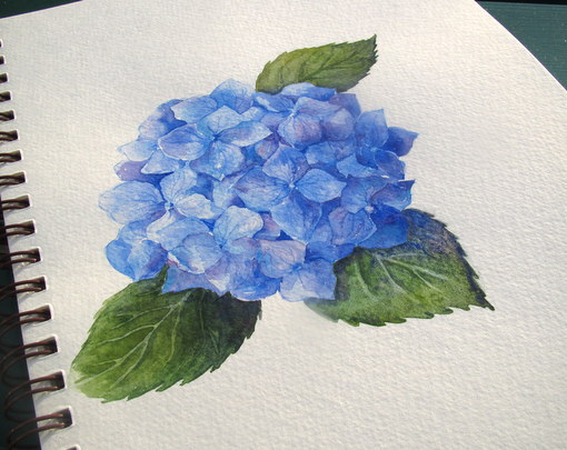 510x405 Everyday Artist Step By Step Watercolor How To Paint A Blue
