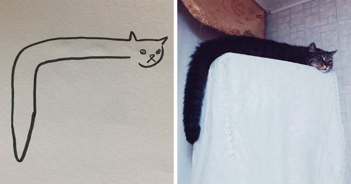 700x368 When Your Teacher Keeps Saying You Can'T Draw Cats, But Your