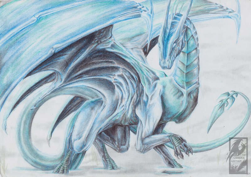 800x564 Ice Dragon Kupello By Umbraatramentum
