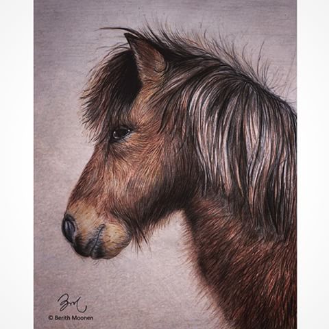 480x480 Berith Moonen (@once.upon.a.drawing) Instagram Photos And Videos