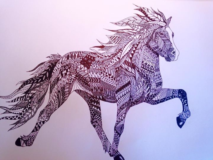 720x540 Icelandic Horse Drawing