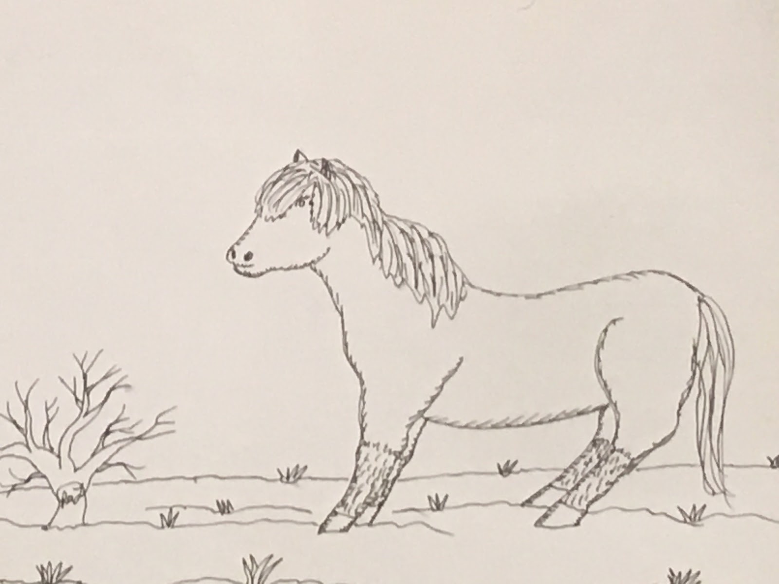 1600x1200 Robin's Great Coloring Pages Icelandic Horse