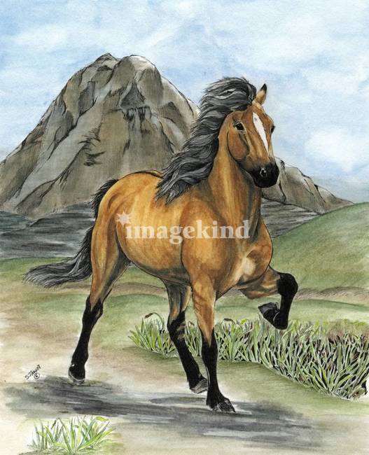 527x650 Stunning Icelandic Horses Artwork For Sale On Fine Art Prints