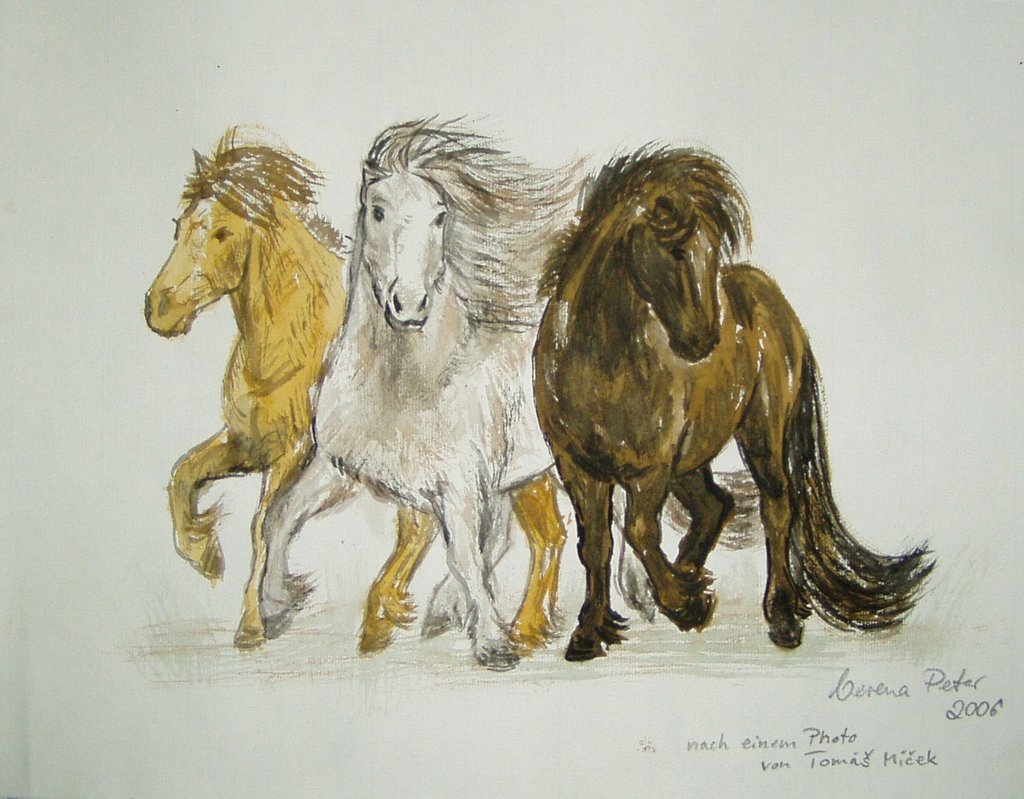1024x799 Icelandic Art Icelandic Horses By Fauna Art Art
