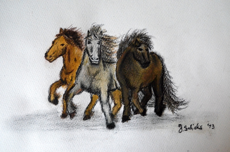 750x497 Icelandic Horse Drawing By Tatze004
