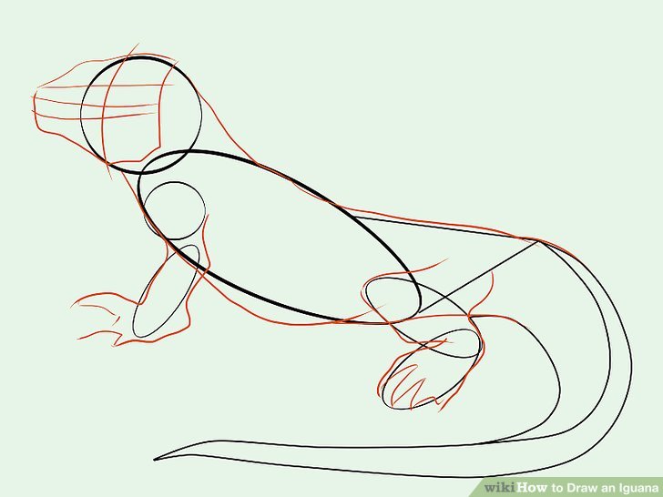 728x546 How To Draw An Iguana (With Pictures)