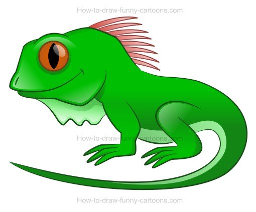 510x423 To Draw A Cartoon Iguana