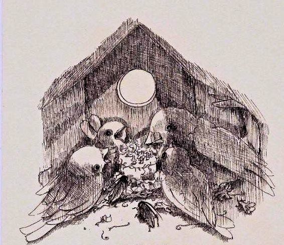 566x488 Pretty In Ink An Overview Of Pen And Ink Illustration