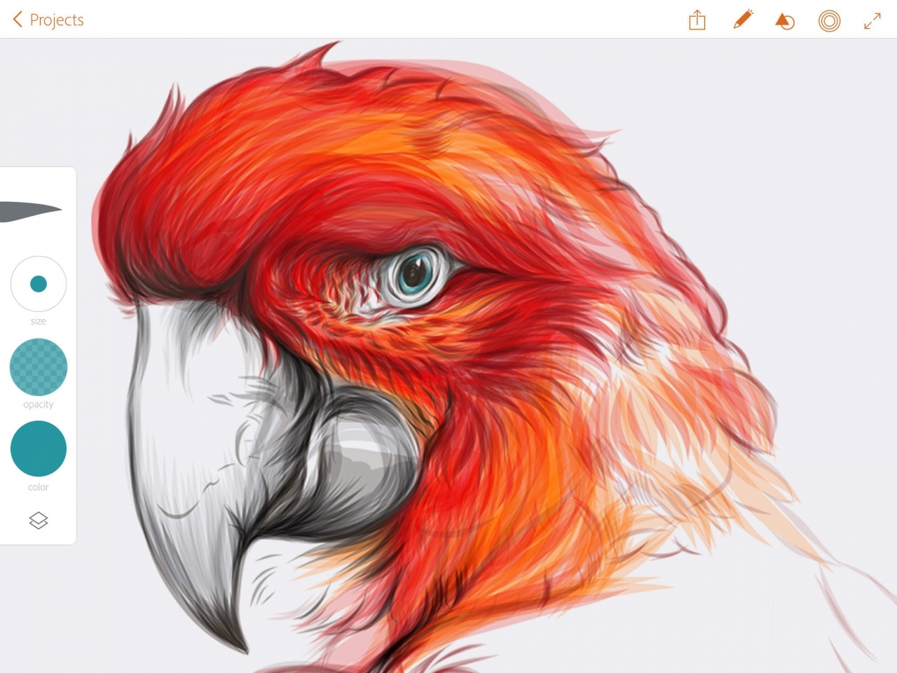 1280x960 New Adobe Illustrator Draw App Now Available For Ipad