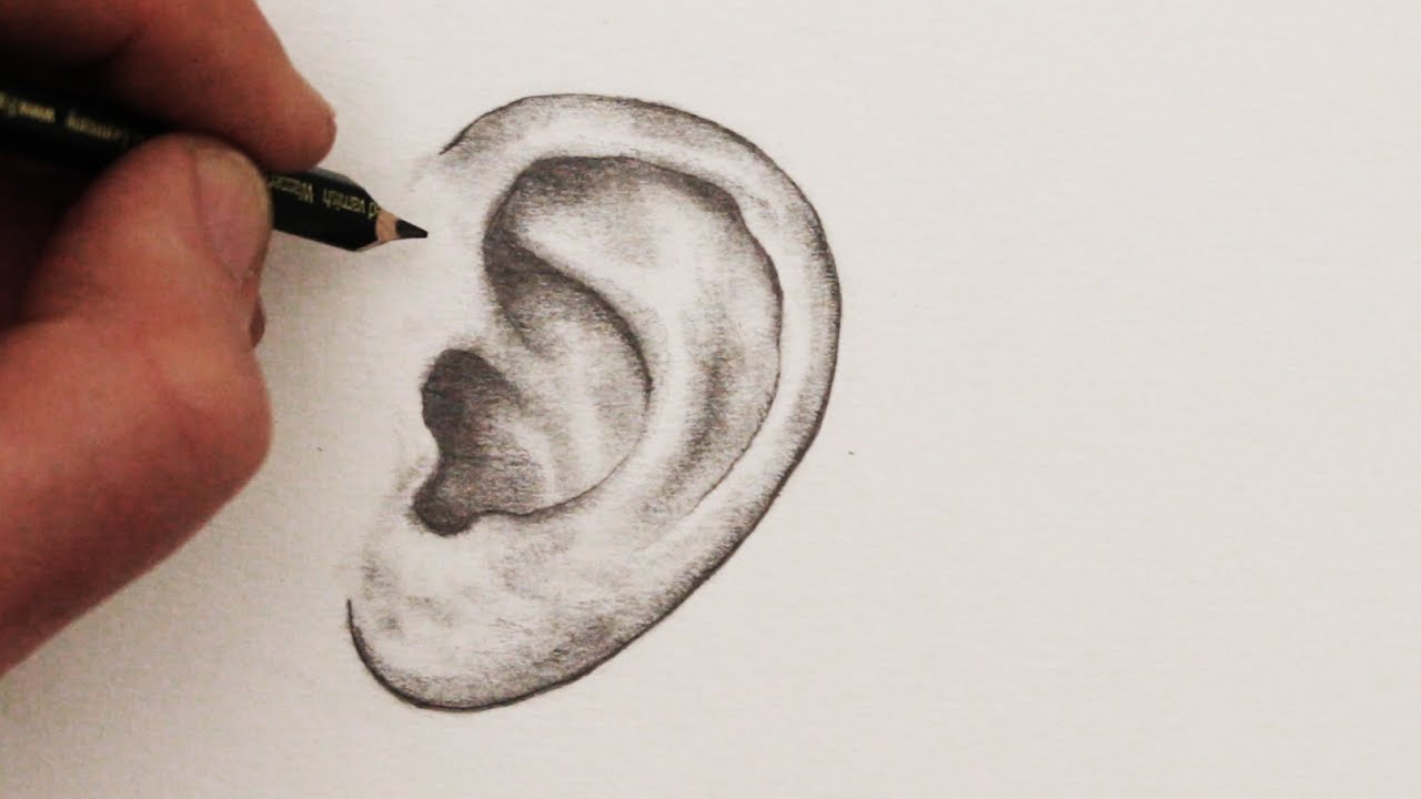 1280x720 How To Draw Ears Step By Step